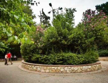 Προσοχή! Έβαλαν εισπνεόμενες φόλες στο Άλσος Παγκρατίου - Υπάρχει κίνδυνος και για μικρά παιδιά